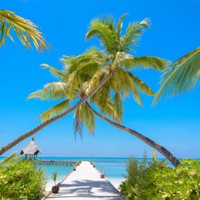 开云app手机版下载