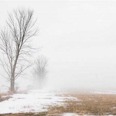 BOB半岛·体育官方平台