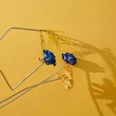 澳门威斯尼斯WNS888入口app下载